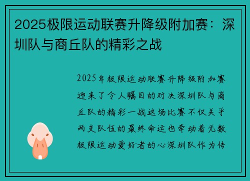 2025极限运动联赛升降级附加赛：深圳队与商丘队的精彩之战