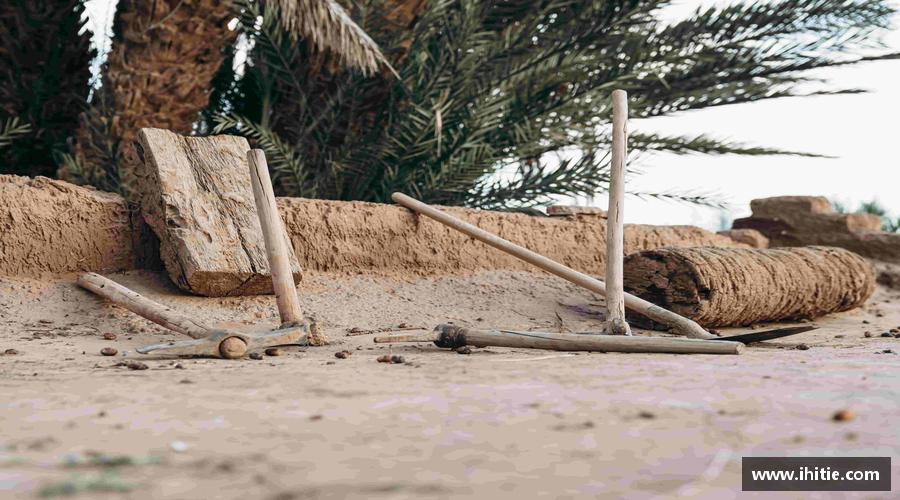 星空·综合体育中国官方网站热血奔放，梦想启航